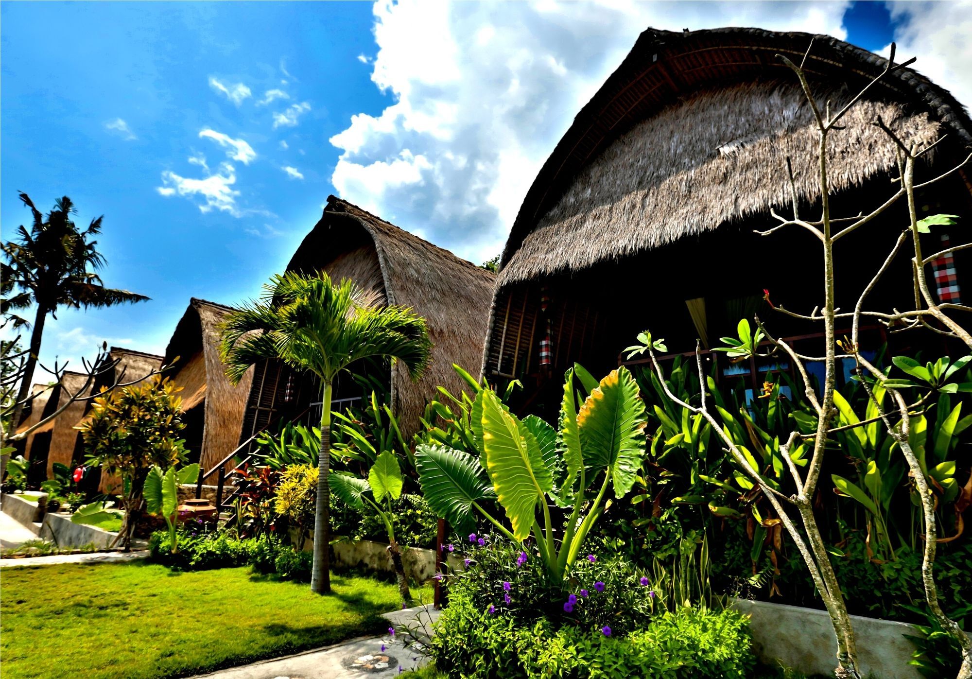Sunset Coin Lembongan Hotel Bagian luar foto